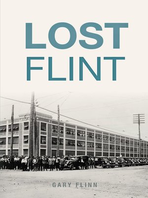 cover image of Lost Flint
